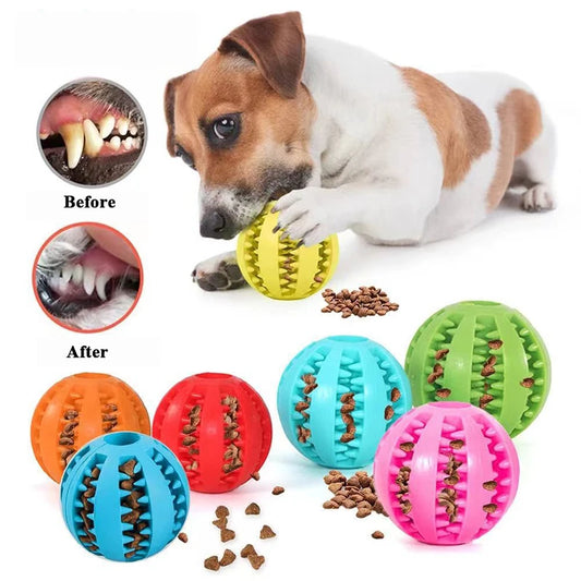 BallieBites™   Interactive Rubber Balls for Dogs