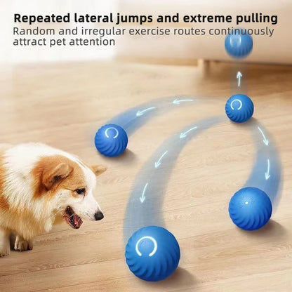 MagicBall™  Smart Ball Electronic Interactive Pet Toy